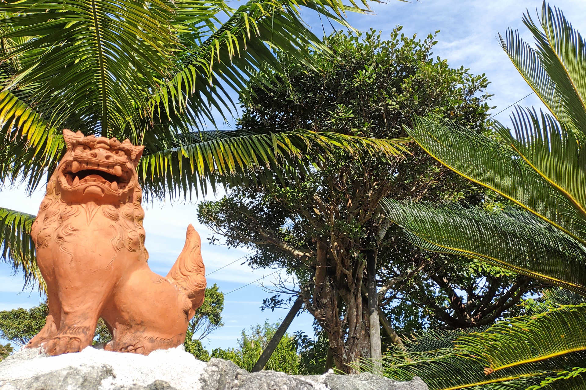 沖縄県のおすすめ民泊運営代行会社5選!選び方のコツも解説