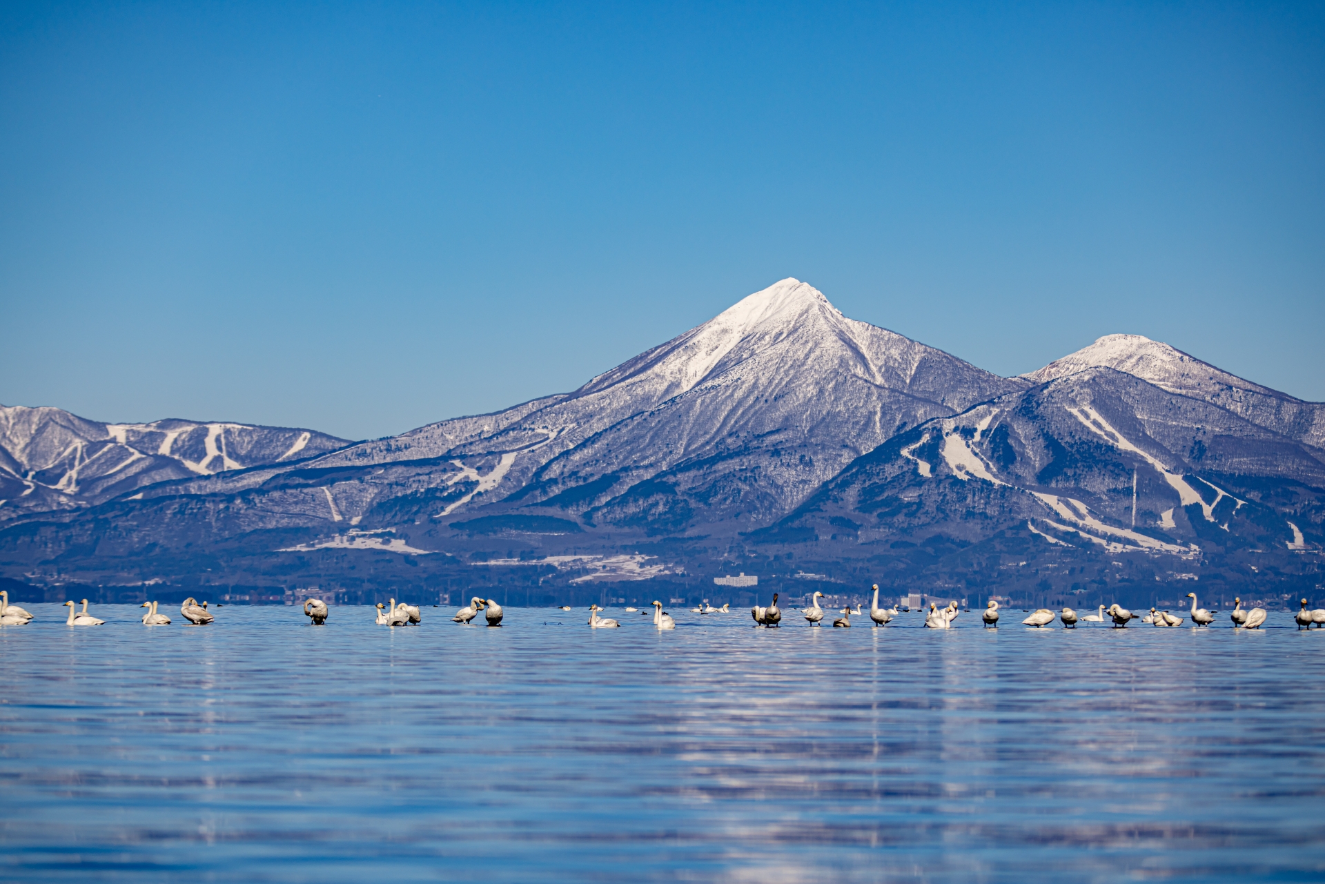 福島県の民泊運営代行業者おすすめ7選｜裏磐梯・会津若松・いわきエリア対応【2025年最新】
