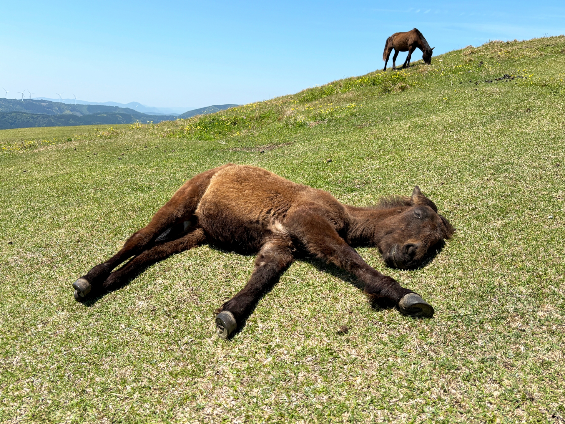宮崎県のおすすめ民泊運営代行会社5選!選び方のコツも解説