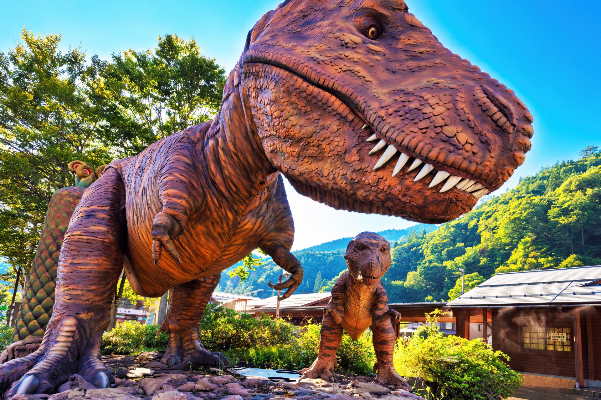 福井県のおすすめ民泊運営代行会社5選!選び方のコツも解説