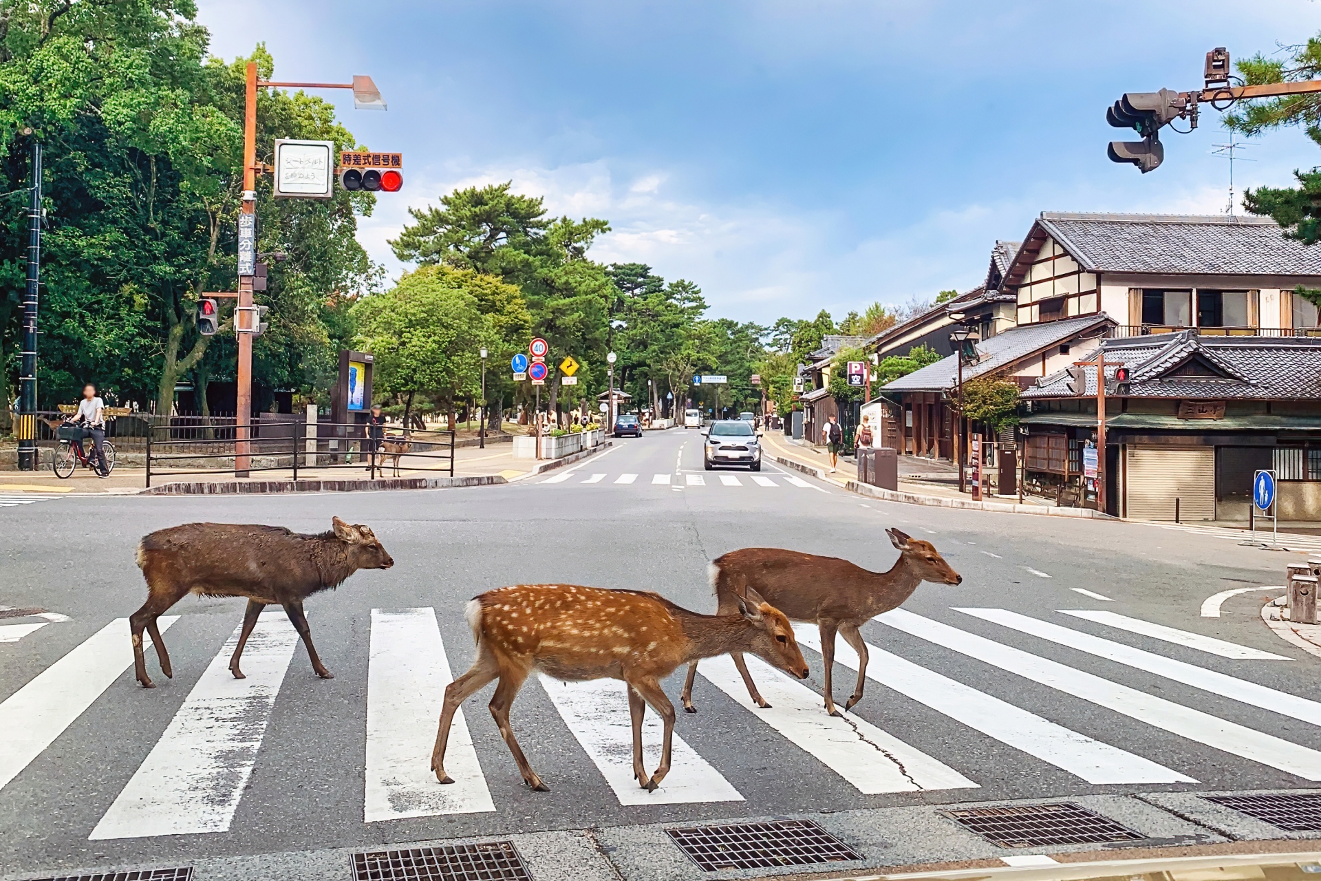 奈良県のおすすめ民泊運営代行会社5選!選び方のコツも解説